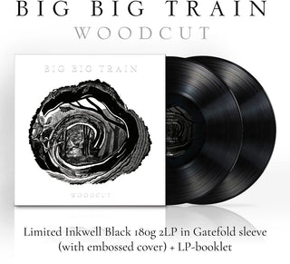 the album cover for Big Big Train - Woodcut