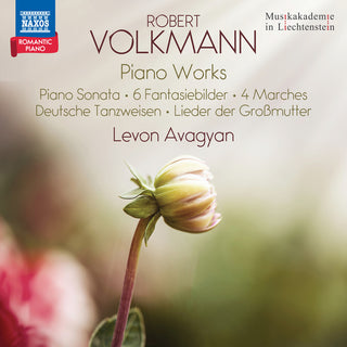 the album cover for Levon Avagyan - Volkmann: Pno Works