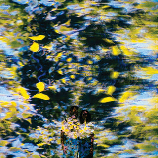 the album cover for Chaton Laveur - Labyrinthe