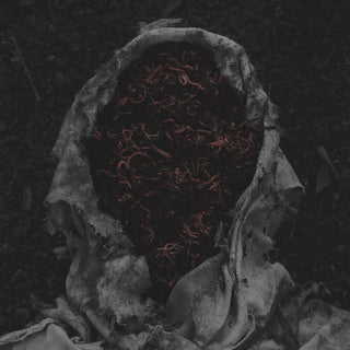 the album cover for Gorrch - Stillamentum