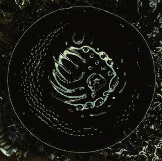 the album cover for Stonus - Stonus