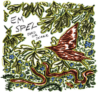 the album cover for Em Spel - Bird Or Snake