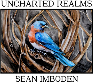 the album cover for Sean Imboden - Uncharted Realms [Digipak]