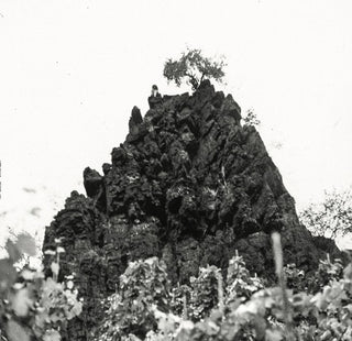 the album cover for Kat Davids - Winterswell