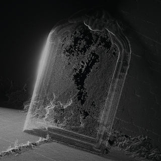 the album cover for Visible Cloaks - Paradessence - Silver [Colored Vinyl] (Slv)