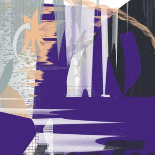 the album cover for Des Coda - Mean Field Mutation