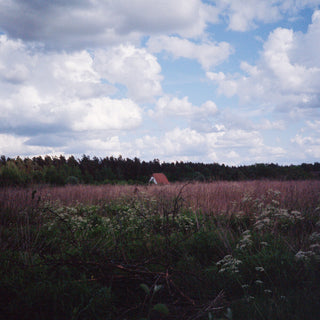 the album cover for Kris Tiner  / Pineda,Cathlene - Sung