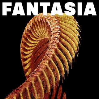 the album cover for SLIFT - Fantasia