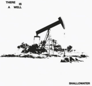 the album cover for Shallowater - There Is A Well [Colored Vinyl]