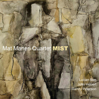 the album cover for Mat Maneri - Mist
