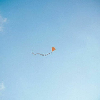 the album cover for Chris Stussy - Lost Found & Forgotten