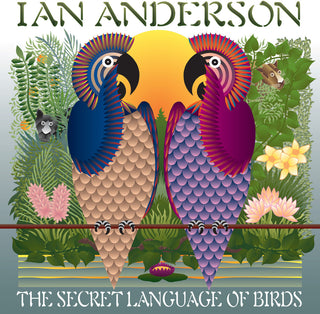 the album cover for Ian Anderson - Secret Language Of Birds