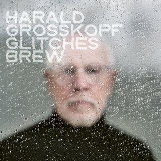 the album cover for Harald Grosskopf - Glitches Brew