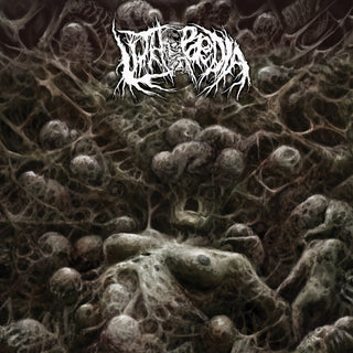 the album cover for Lithopaedia - Inferno