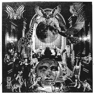 the album cover for Never - Gray