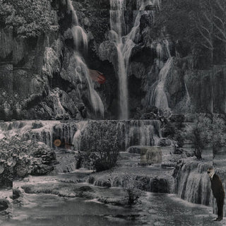 the album cover for Lambchop - Punching the Clown (frosted Clear Vinyl) (i)