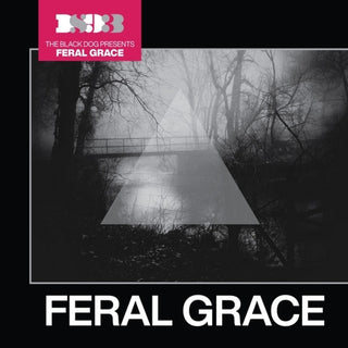 the album cover for Black Dog - Feral Grace