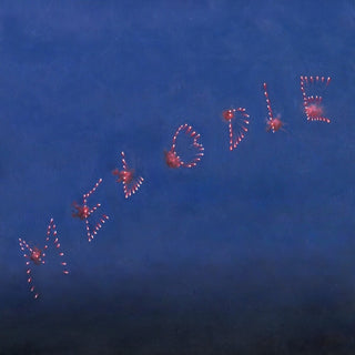 the album cover for Slow Pulp - Melodie [Indie Exclusive Clear Blue]