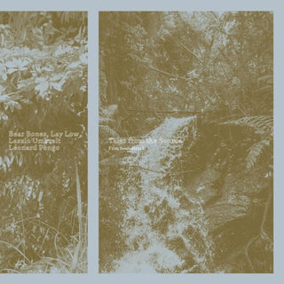 the album cover for Bear Bones / Lay Low / Laslo Umbreit - Tales From The Source