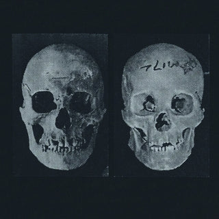 the album cover for Government Alpha - Human Race Was Restored To Life Repeatedly