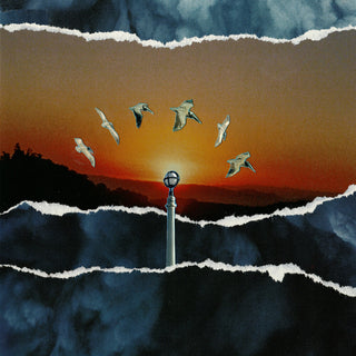 the album cover for Daisyhead - If You Find It Let Me Know [Colored Vinyl]