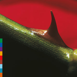 the album cover for Nusrat Khan  Fateh Ali / Brook,Michael - Night Song - Green [Colored Vinyl] (Grn) (Aniv) [Reissue]