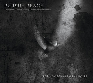 the album cover for Amy Hillis - Pursue Peace -Contemporary Chamber Music Canadian