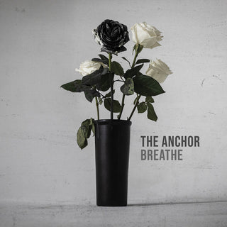 the album cover for Anchor - The Anchor