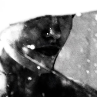 the album cover for Purgate - Leavings