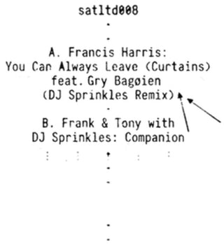 the album cover for Dj Sprinkles / Frank & Tony / Francis Harris - You Can Always Leave / Companion (Ep)