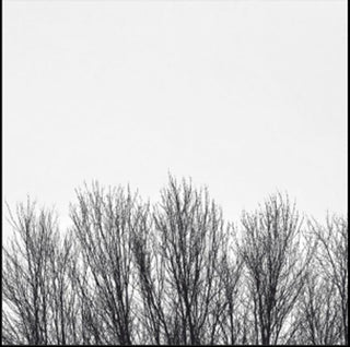 the album cover for Northwoods Improvisers - White Sky