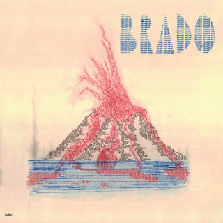 the album cover for Animal Invisivel - Brado