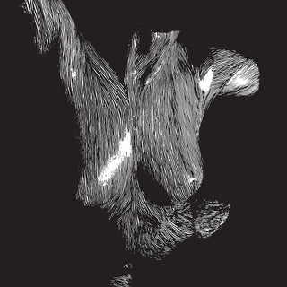 the album cover for Oceansize - Self Preserved While The Bodies Float Up