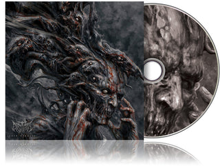 the album cover for Distant - Into Despair