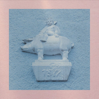 the album cover for Anthony Green - Pets - Coke Bottle Clear [Clear Vinyl]