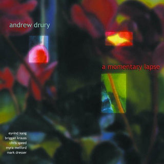 the album cover for Andrew Drury - Momentary Lapse