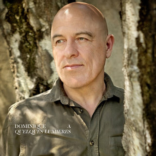 Dominique A- Quelques Lumieres
