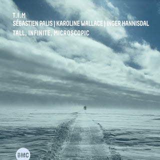 T.I.M.- Tall, Infinite, Microscopic (CD)