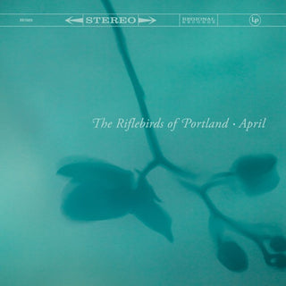 Riflebirds Of Portland- April