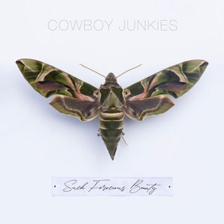 Cowboy Junkies- Such Ferocious Beauty [Colored Vinyl] (Ofgv) (Tan) (Aus)