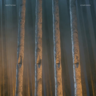 Skepticism- Companion