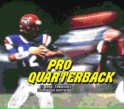 Pro Quarterback (Box, No Manual)