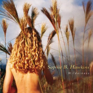 the album cover for Sophie B. Hawkins - Wilderness