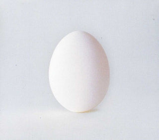 the album cover for Wilco - A Ghost Is Born