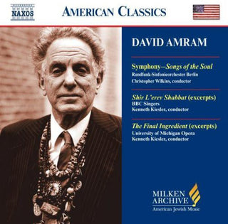 the album cover for Christopher Wilkins - Milken Archive of American Jewish Music: Symphony
