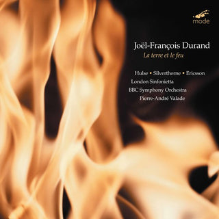 the album cover for HANS-OLA ERICSSON - Terre Et Le Feu / Raisons Des Forces Mouvantes