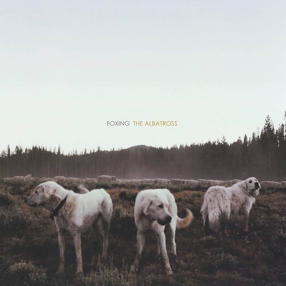 Foxing- The Albatross (White Inside Cloudy Clear)(Seam Split On Top, See Photos)