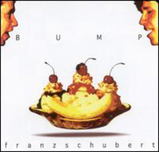 the album cover for Franzschubert - Bump