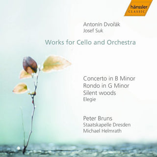 the album cover for Peter Bruns - Peter Bruns Plays Dvorak & Suk