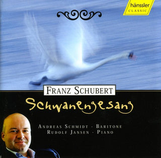 the album cover for We Were Strangers - Schwanengesang